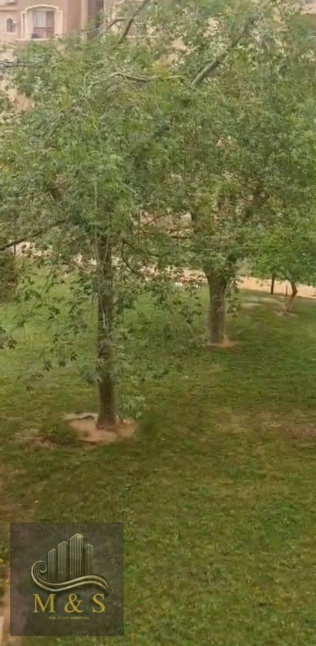 2 IMG-20260113-WA0270. jpg