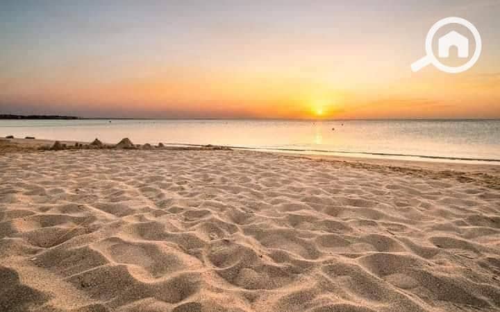 2 552219123_1325384345641572_3172559420686895910_n. jpg