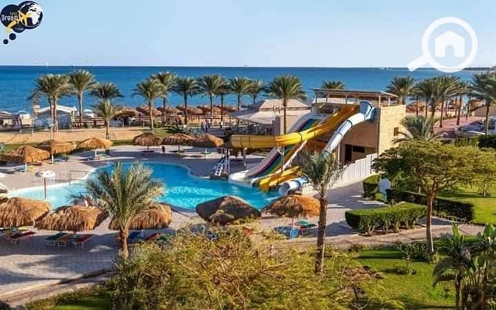 7 553599414_1325384272308246_5263808288753377098_n. jpg