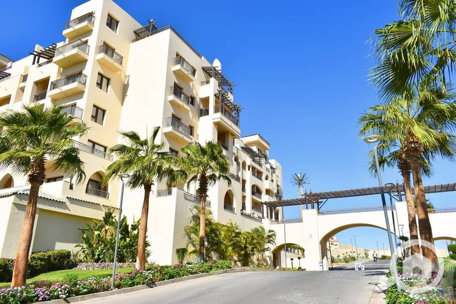 9 589839286_2238880283291166_4182990940507616197_n. jpg