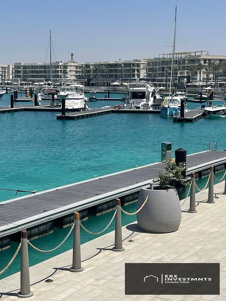 13 586863363_1179168230408224_4670359906278619105_n. jpg