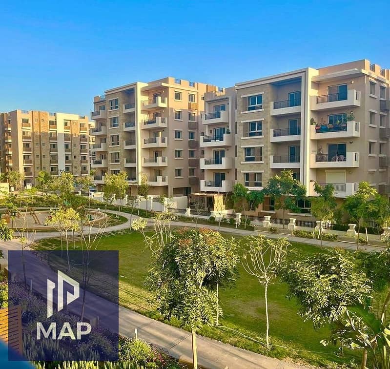 4 417423576_384645177484208_146229412262050161_n. jpg