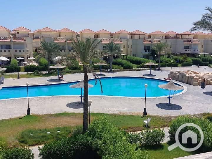 2 449f4a36-50ed-4432-8853-21b2d748298e. jpg