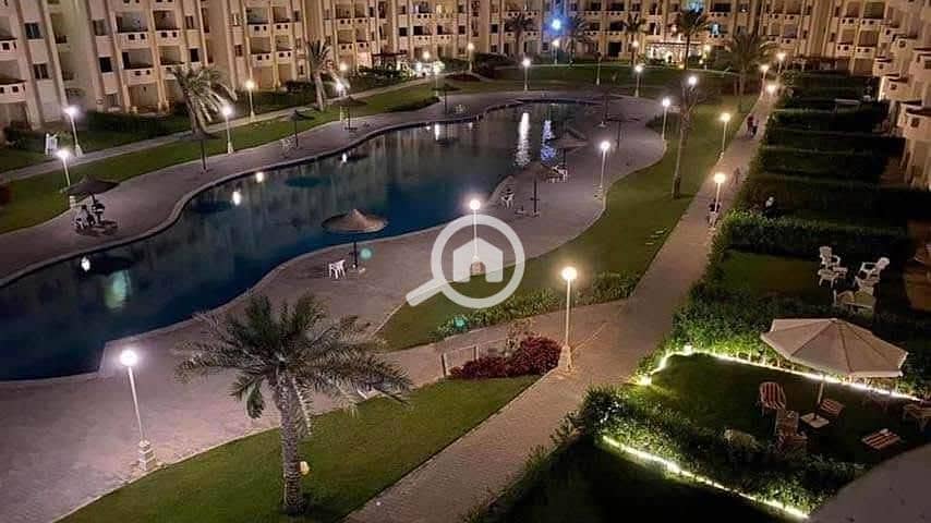 8 dd8711cc-e0dd-44b8-a5bc-ba7bb5d2f7e2. jpg