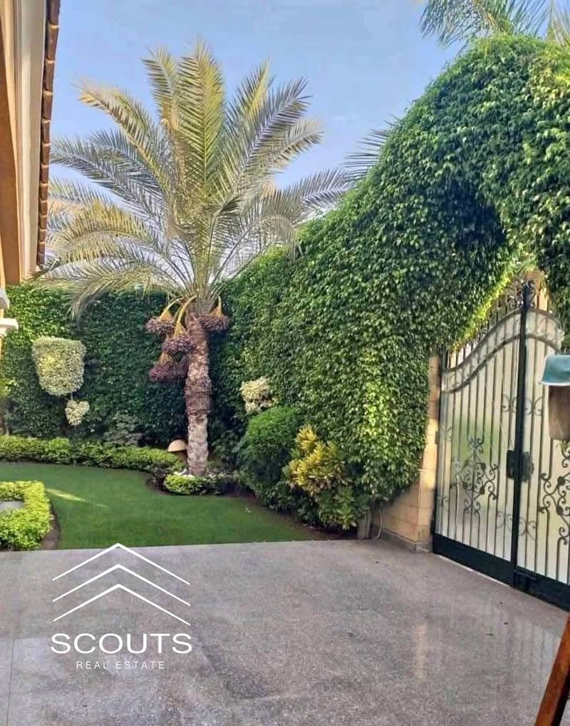 3 FB_IMG_1764754213453. jpg