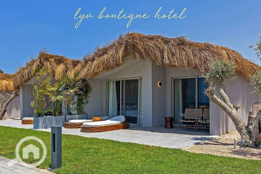 3 WhatsApp Image 2025-09-02 at 4.47. 00 PM (2). jpeg