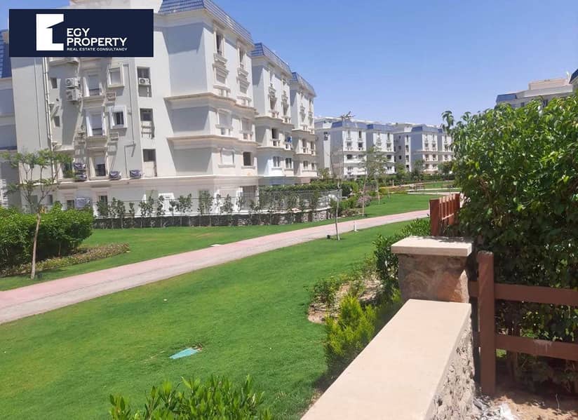 10 WhatsApp Image 2025-12-14 at 15.20. 30_290ad2a1. jpg