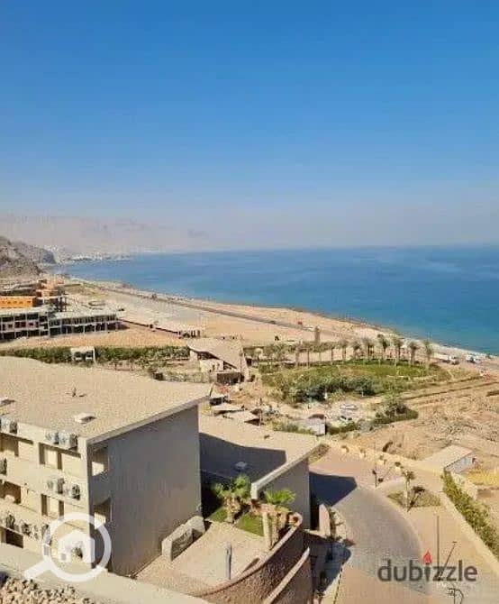 19 Screenshot_12. png