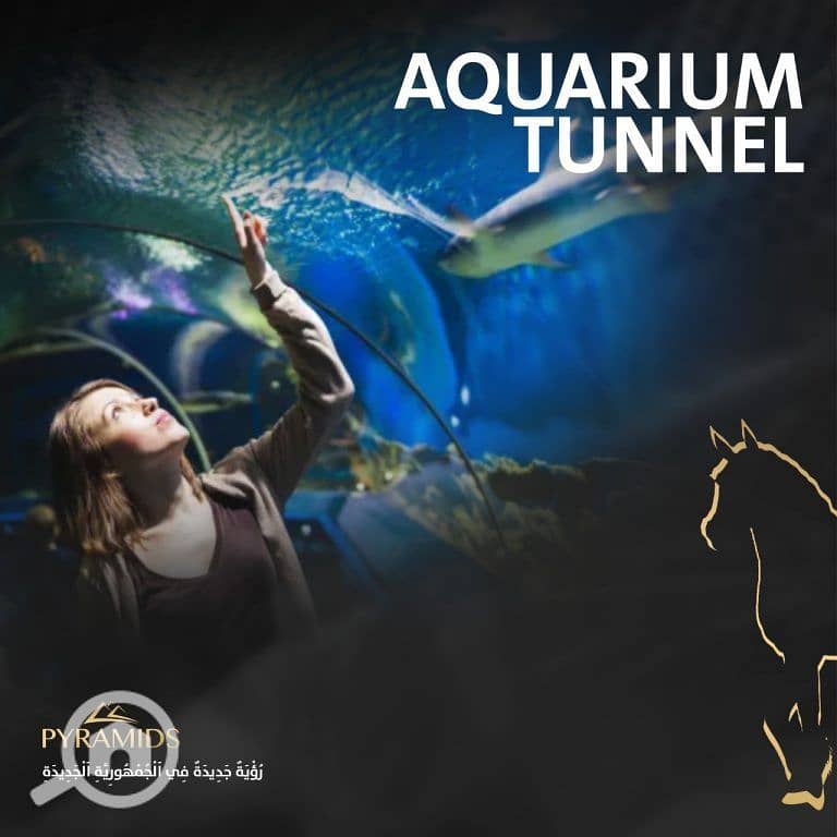 32 Mega-Mall-New-Capital-768x768. jpg