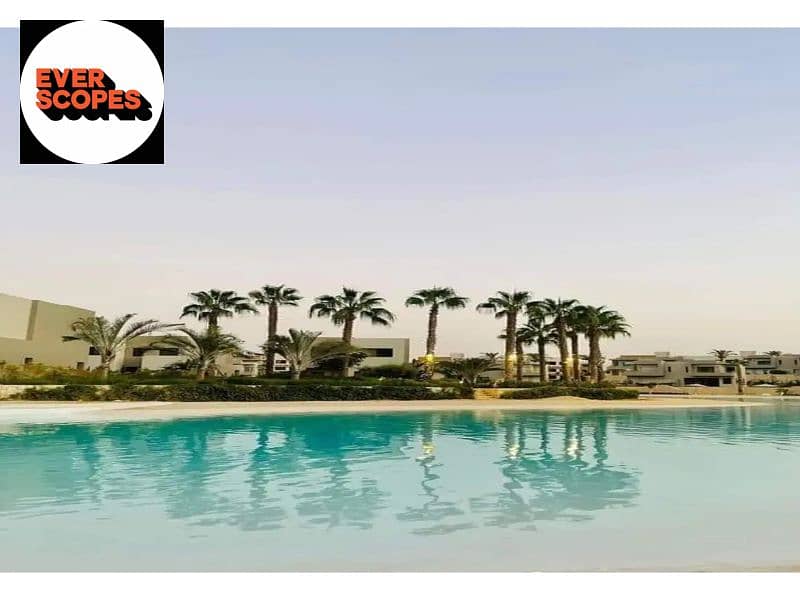 10 1312x894 (8). jpg