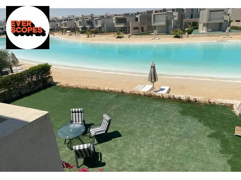 11 1312x894 (10). jpg