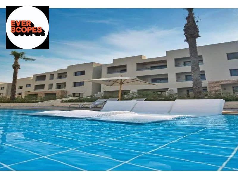 12 1312x894 (11). jpg