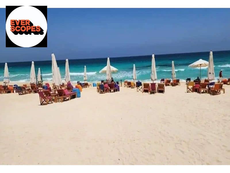 13 1312x894 (12). jpg