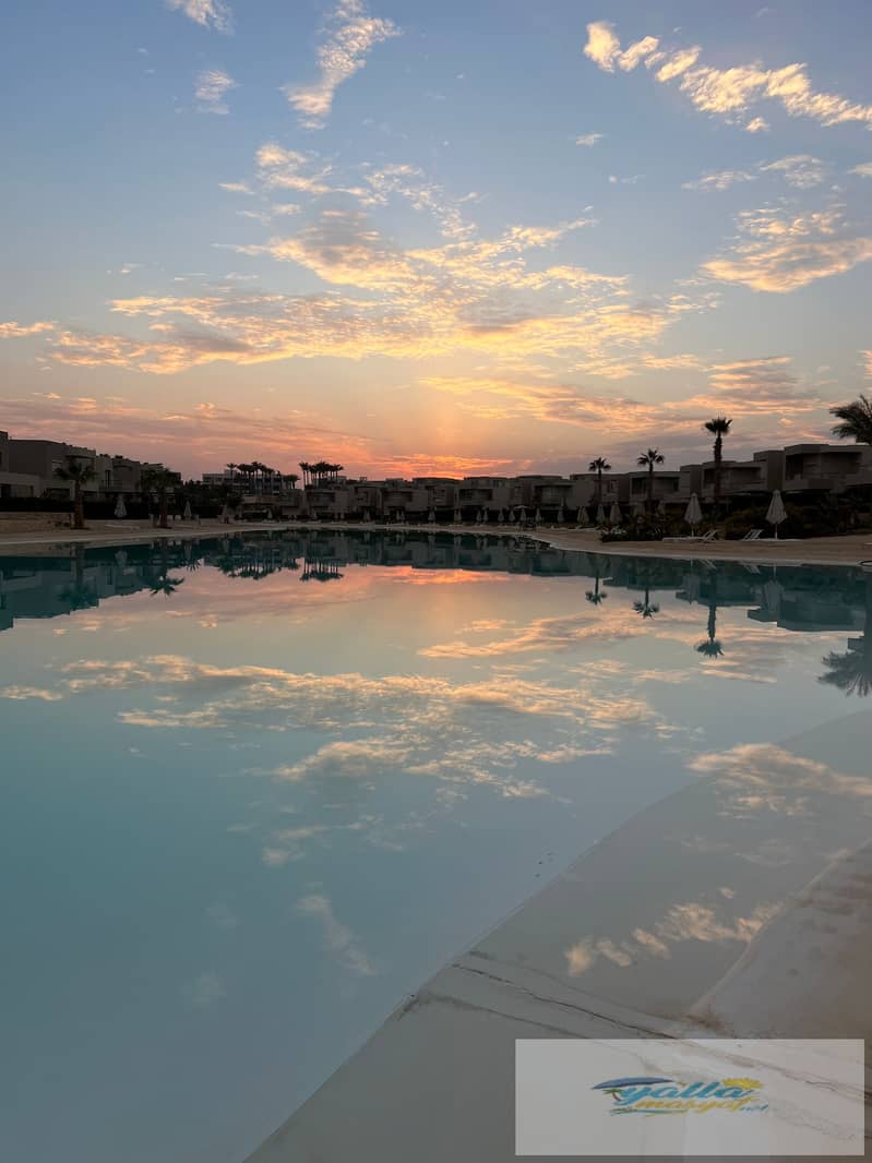 15 tempImageKjGtXo. jpg