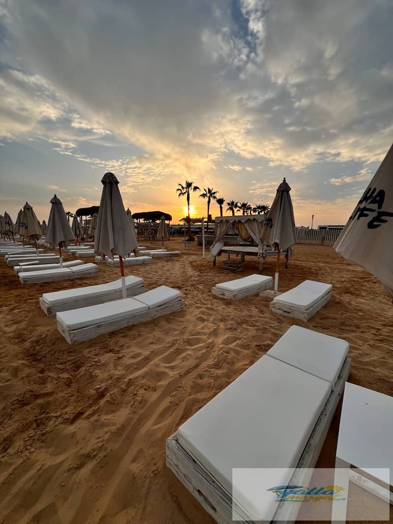 22 tempImageZPy59M. jpg