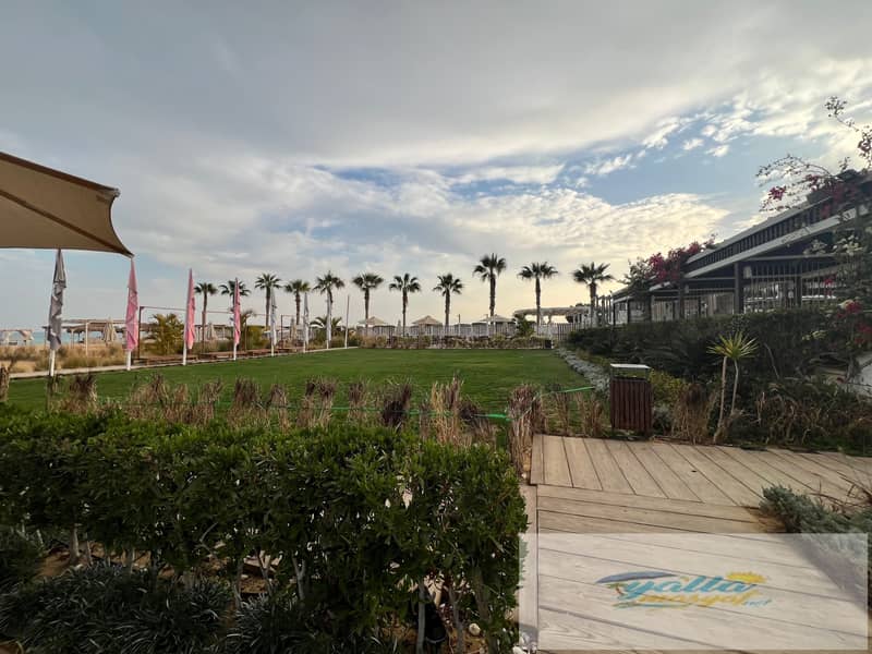 29 tempImagex4j6Sr. jpg