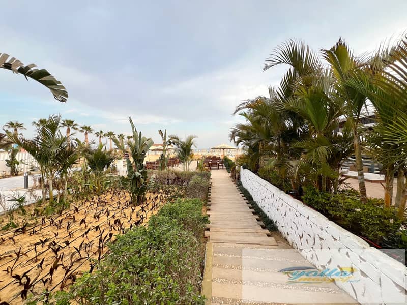 30 tempImage2EqXHk. jpg