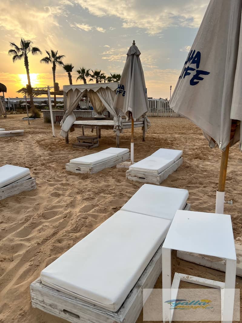 31 tempImageYnp0FY. jpg