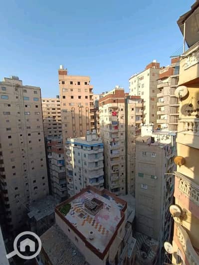 3 Bedroom Flat for Sale in Miami, Alexandria - 615559806_25753895084227573_5610962350129712735_n. jpg