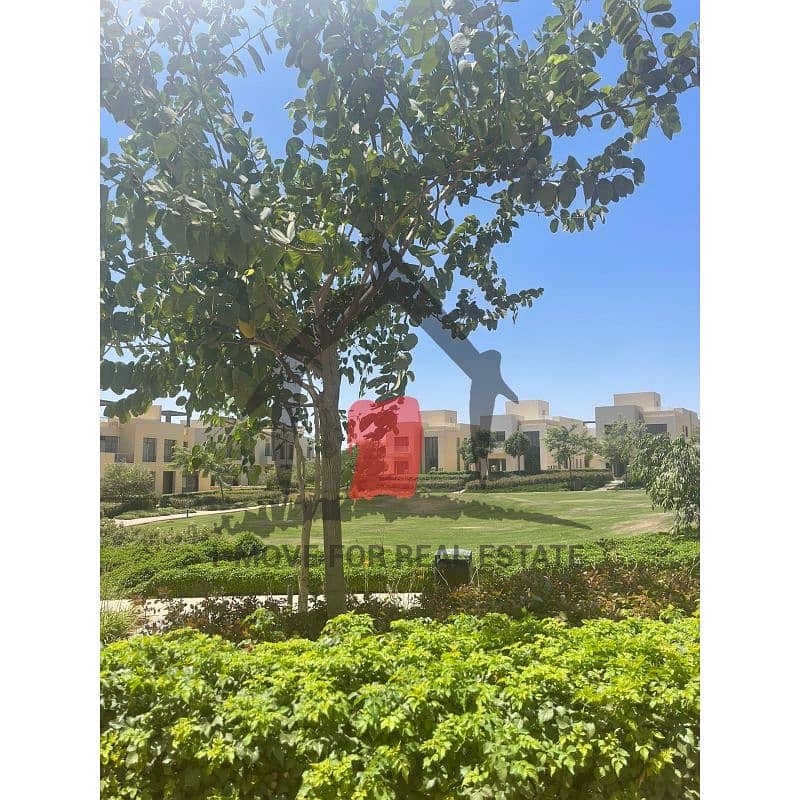 6 5299fb4f-e03e-4dcb-87bc-e1e1ea163456. jfif. jpg