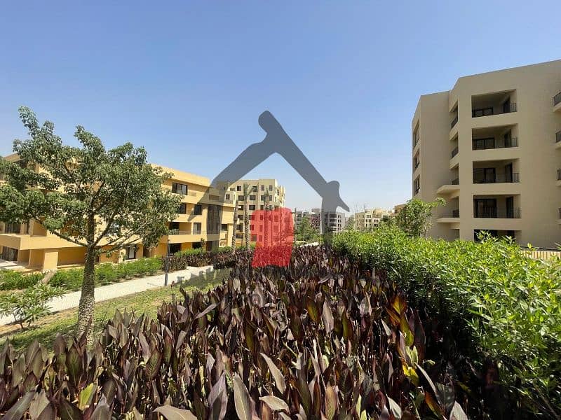 11 0691f20a-1943-489e-9d44-b172e8e2aadd. jfif. jpg