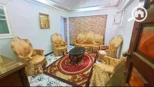 2 Bedroom Apartment for Sale in Miami, Alexandria - 53e91993-37fe-4e04-a696-885d595ac7af. jpg