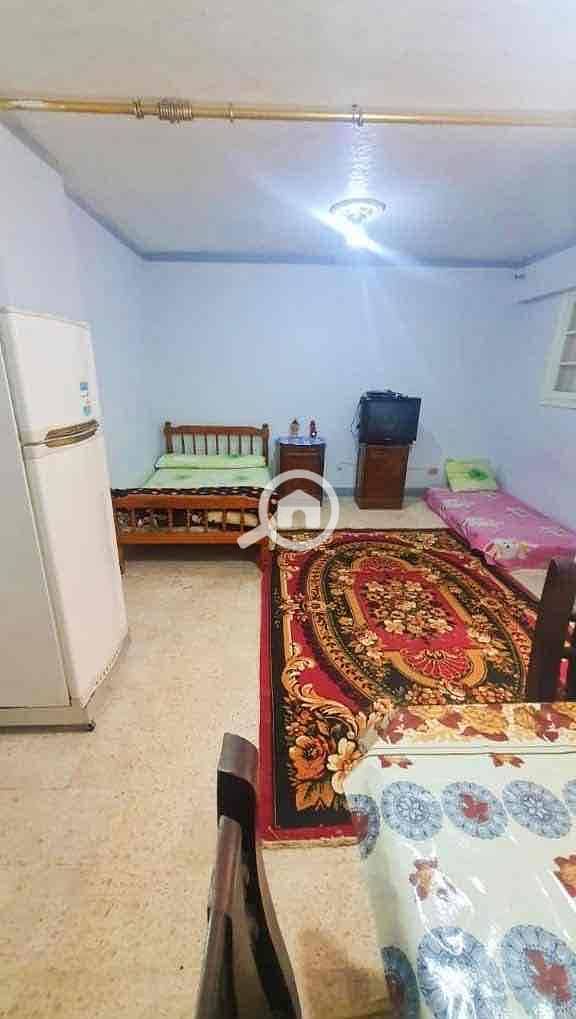 5 3bd79762-0921-4847-a9ff-265a611c994c. jpg