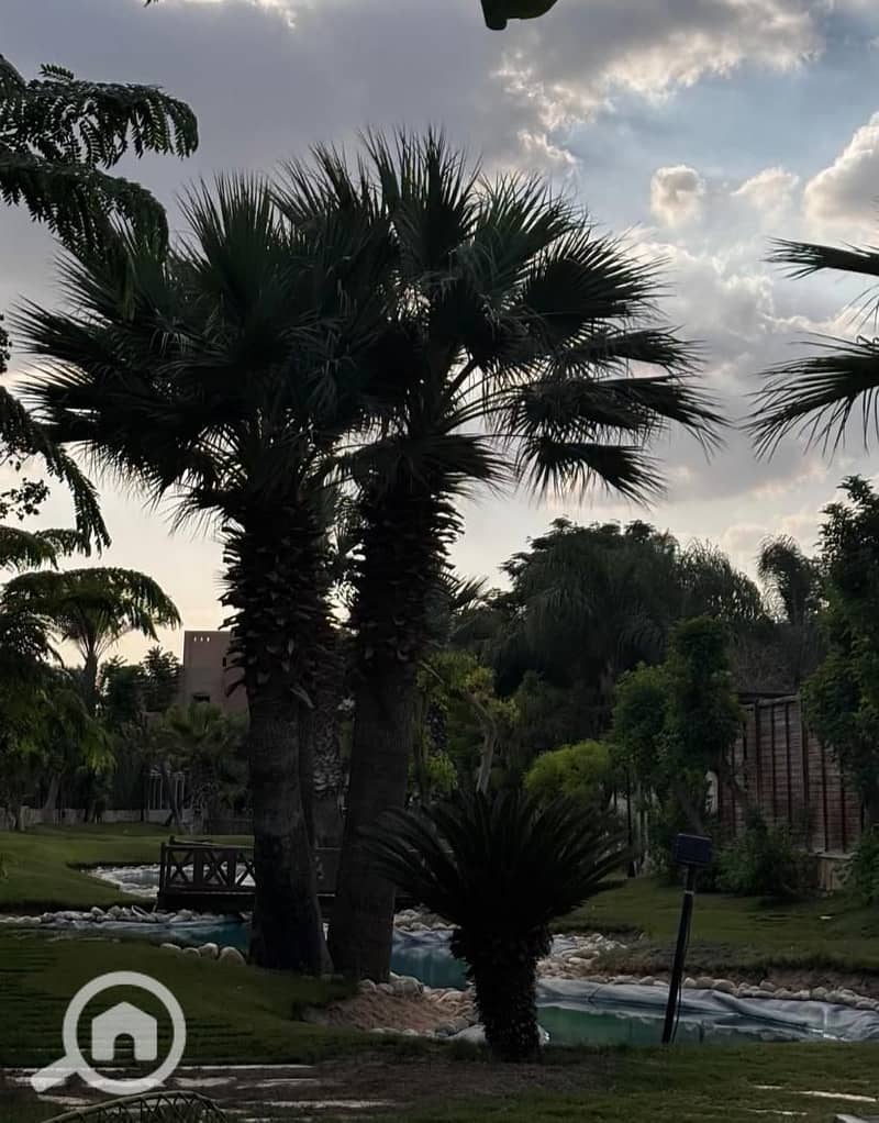 11 WhatsApp Image 2026-01-14 at 5.50. 15 AM. jpeg