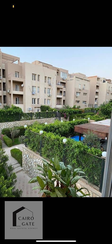 4 1b41cda5-109f-4d89-ba00-da4f30ca2c62. jpg