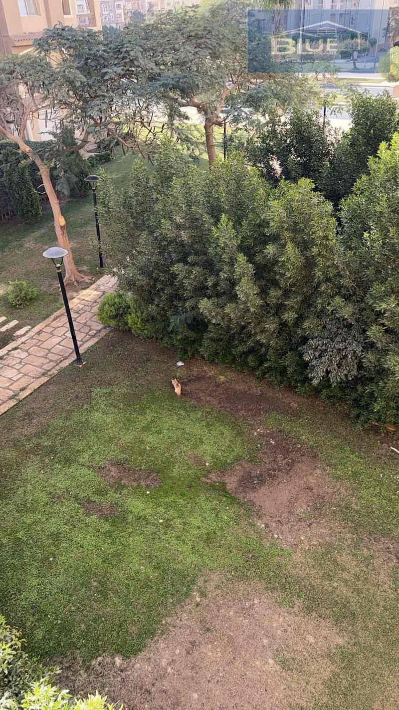 4 df526ddf-1bcd-4505-883d-3f1597b1e7f6. jpg