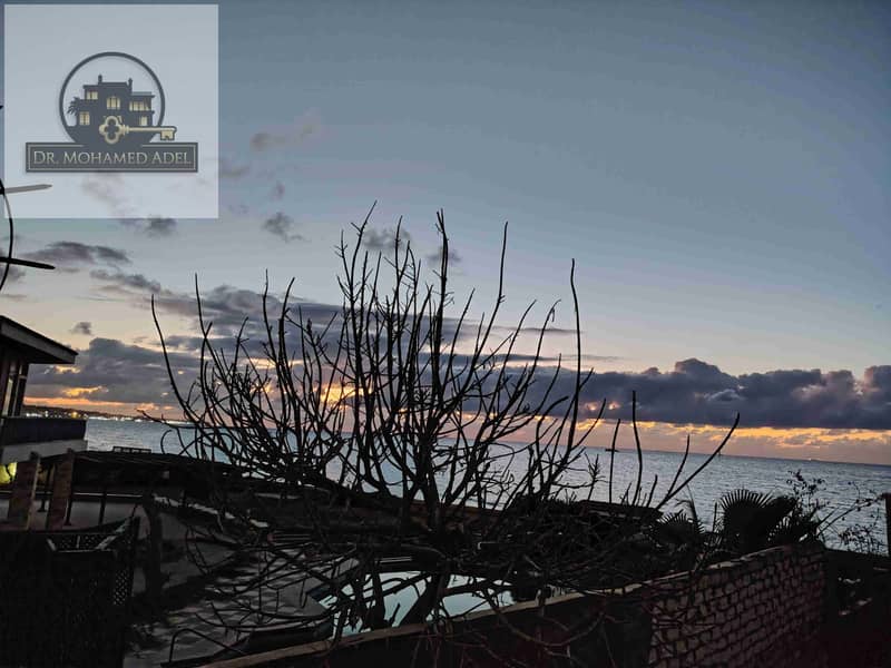 35 IMG_20251225_173651. jpg