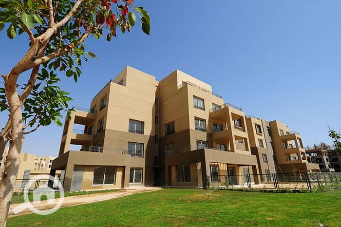 2 palm-parks-october-بالم-باركس-اكتوبر-58. jpg