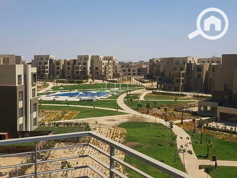 9 5bf53da8922bf. jpeg