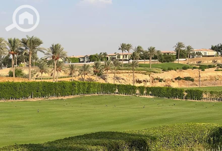 2 8317947-4e6edo. jpg