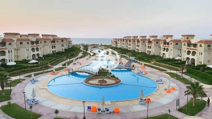 4 WhatsApp Image 2026-01-15 at 11.30. 08 (1). jpeg