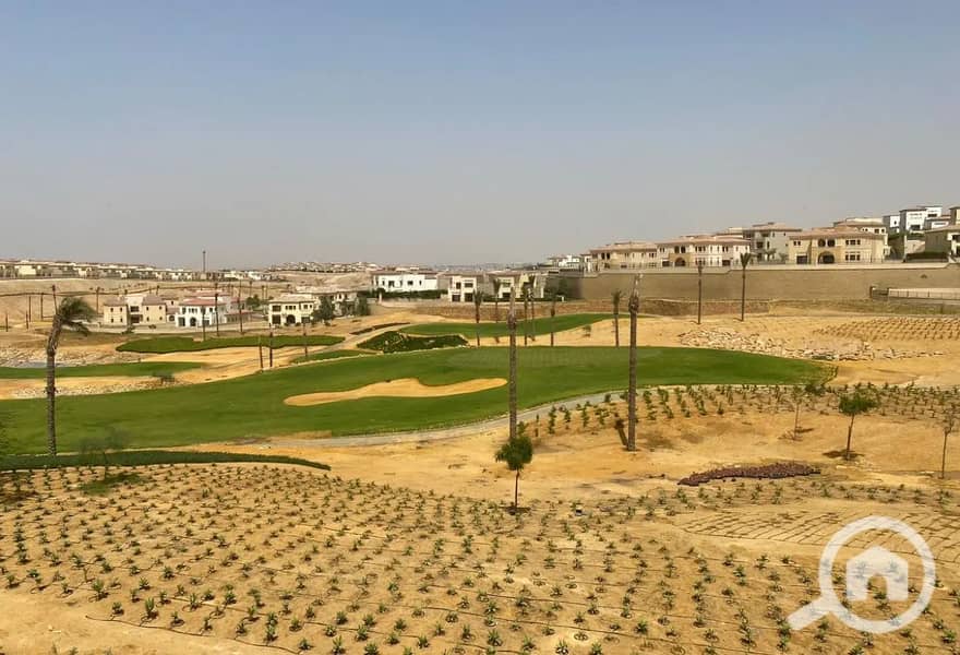 8 8317947-9d5e1o. jpg