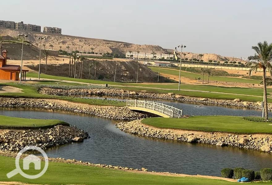 12 8317947-b282bo. jpg