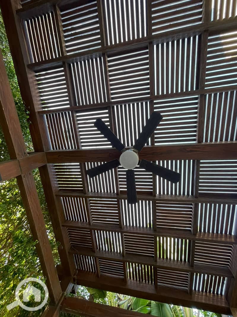 8 4ae90a3d-a046-45c1-be48-cd3dd213e1b7. jpg