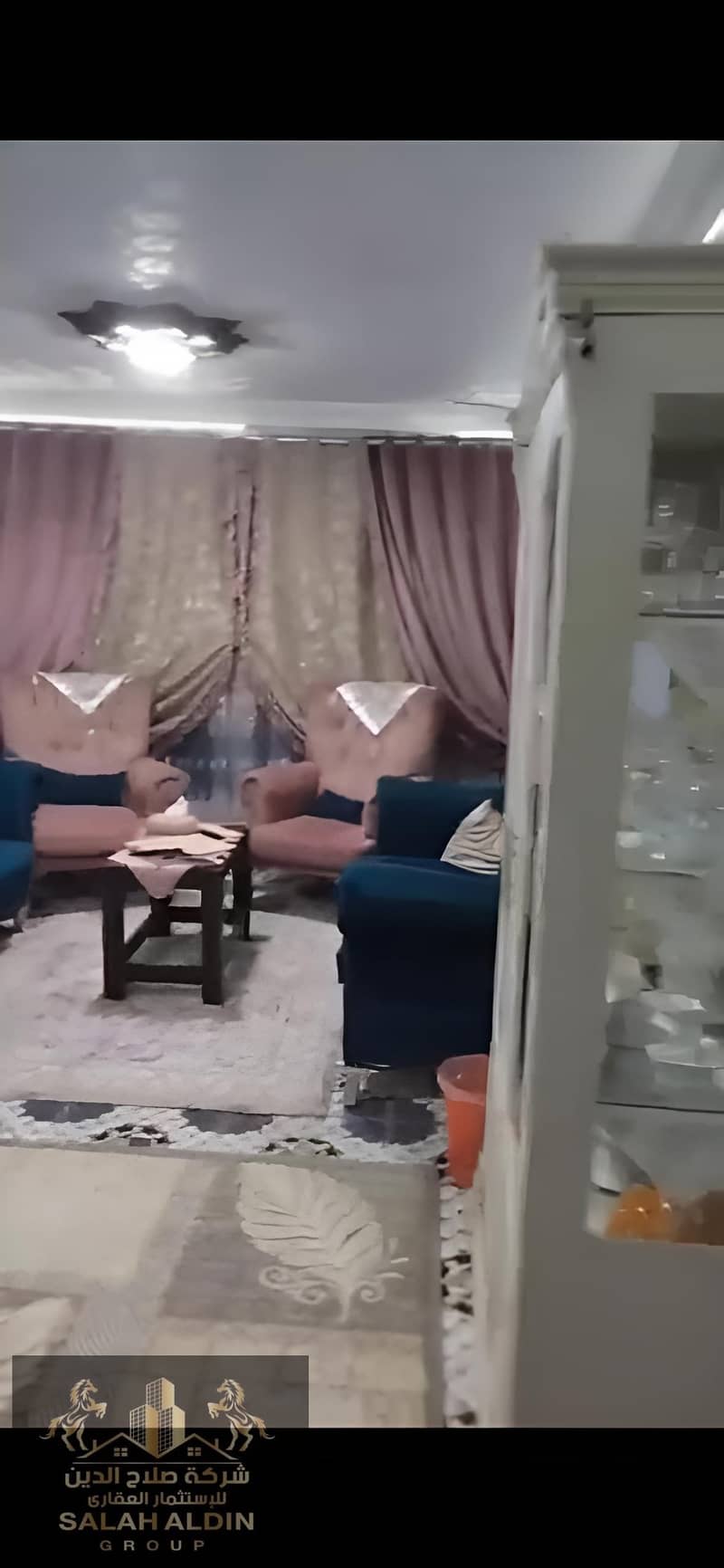 3 fotor_2026-01-15_12-03-04. jpg