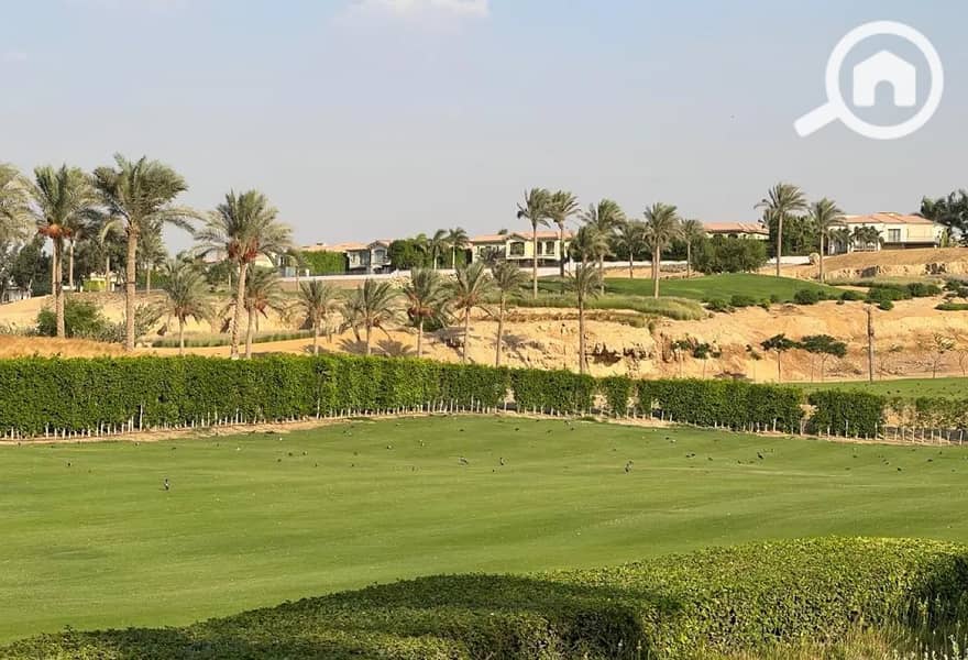 4 8317947-4e6edo. jpg