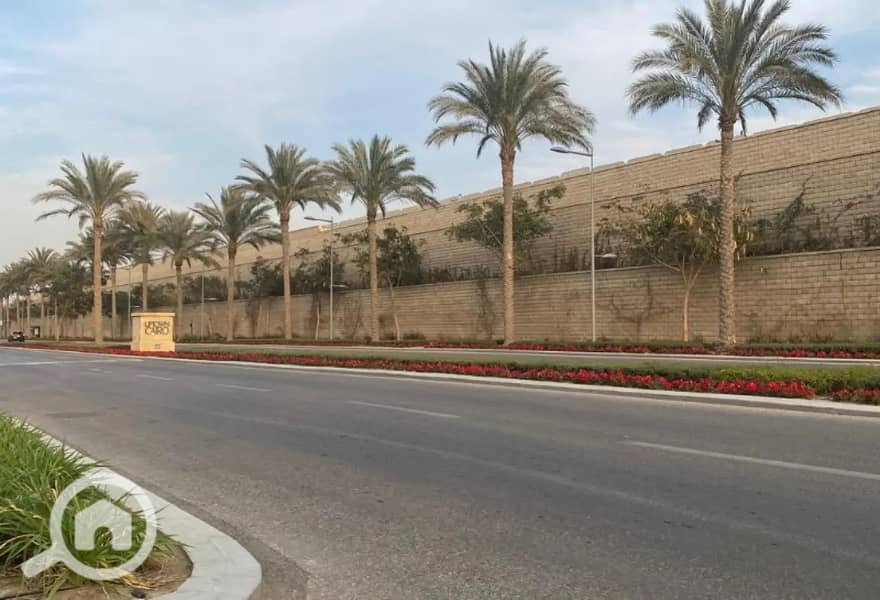 5 8317947-9cb9ao. jpg