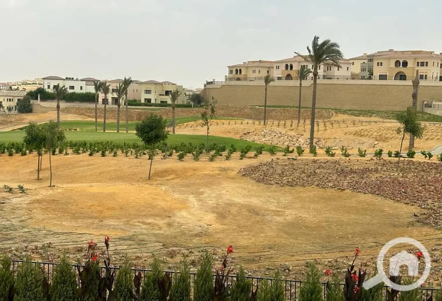 12 8317947-cdc58o. jpg