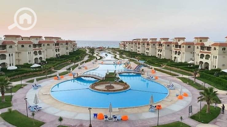 5 WhatsApp Image 2026-01-15 at 11.30. 08 AM (1). jpeg