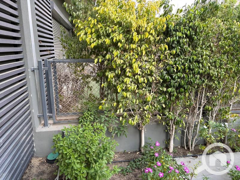 5 WhatsApp Image 2026-01-15 at 12.06. 28 PM (8). jpeg