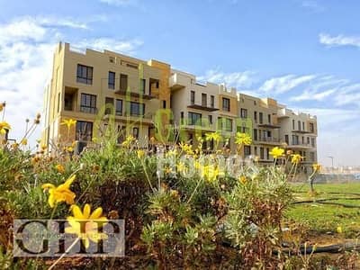 دوبلكس 3 غرف نوم للبيع في القاهرة الجديدة، القاهرة - 995d3da8-6133-11ee-bade-c68390fbc344. jpeg