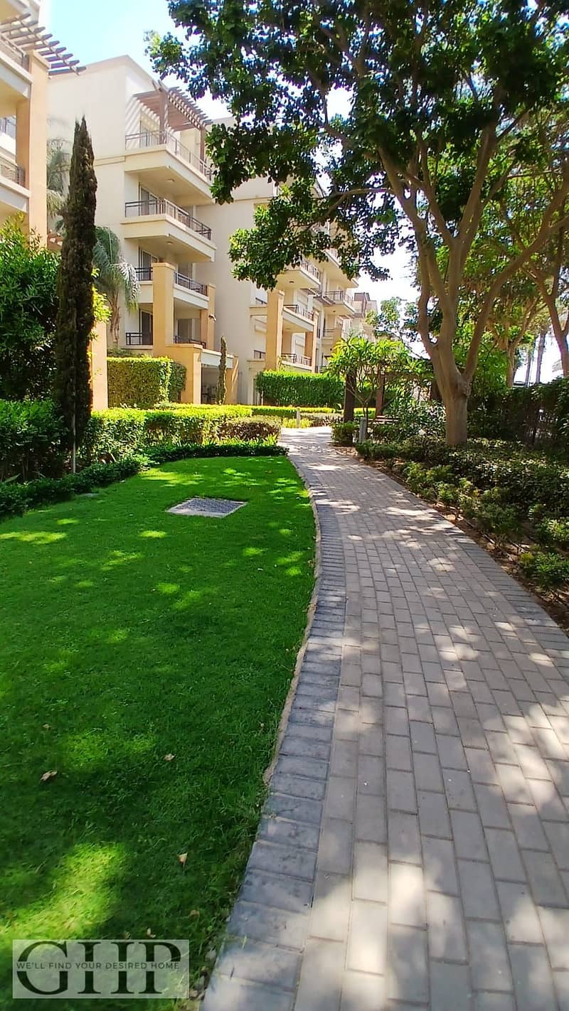 7 81f1d2c2-6555-4566-ab3d-a41fedaa7417. jpg