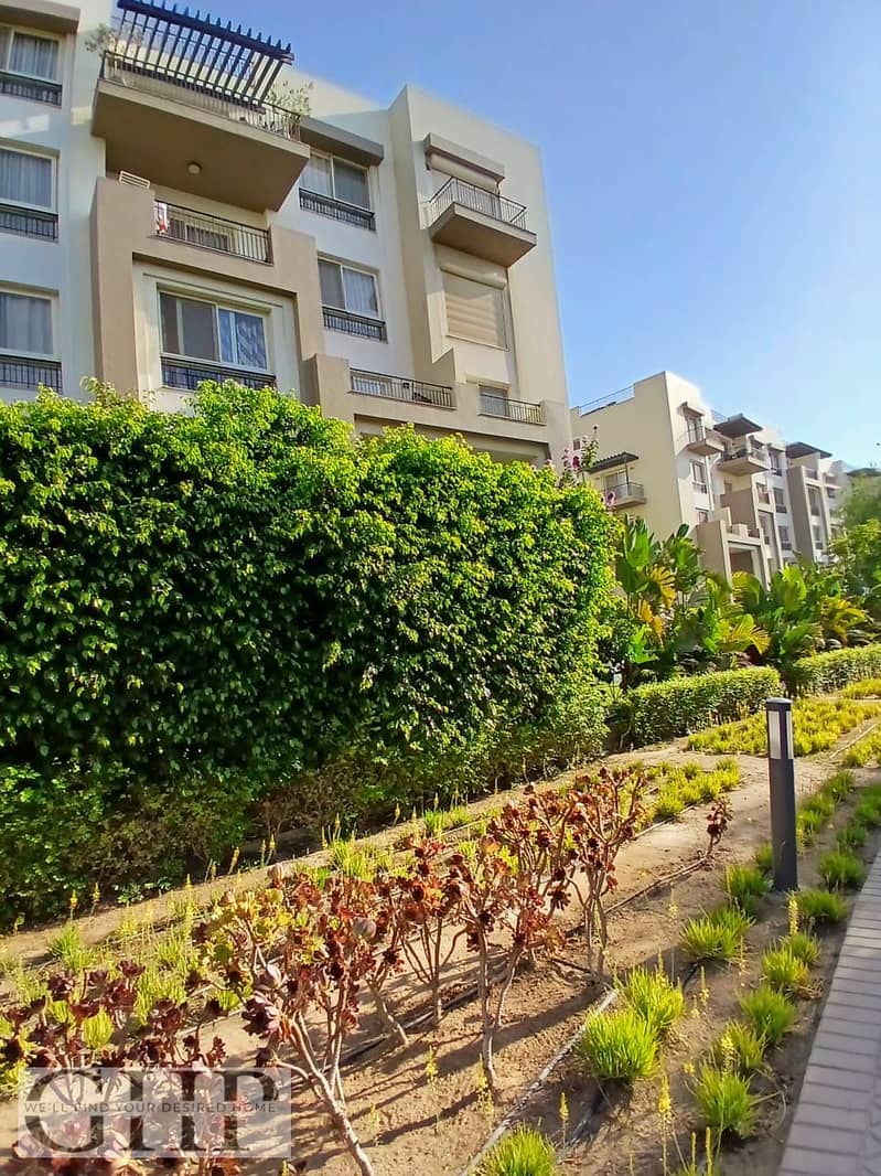 2 1b379f26-8df8-4a02-84d5-eaa15b7dcf2c. jpg