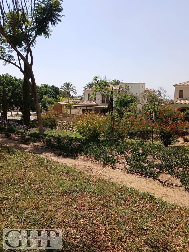 6 317a03d6-28e4-4347-b93c-2f0eb20cc965. jpg