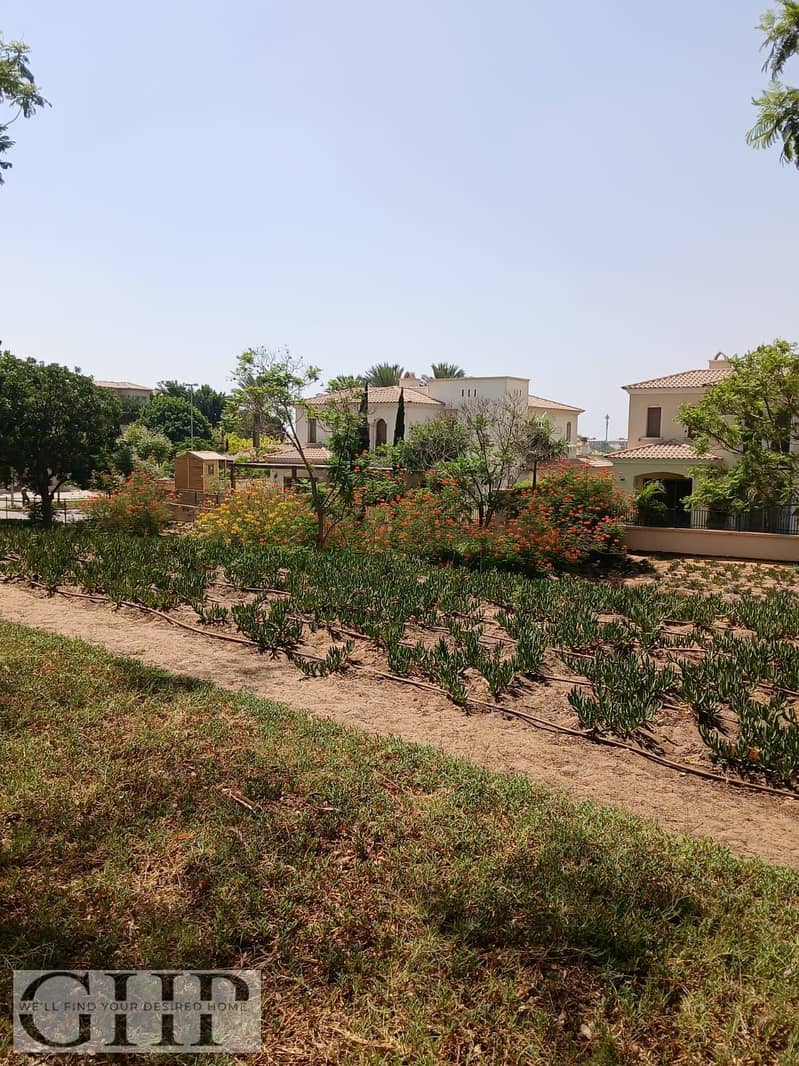 8 03623884-bbfd-4c22-9092-025dbe6d4e91. jpg