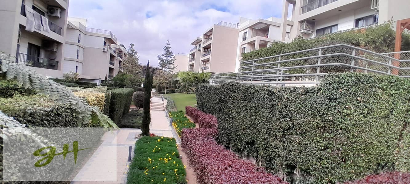 4 20251229_141252. jpg